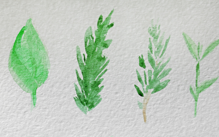 Watercolor painting of leaves on album sheetの写真素材
