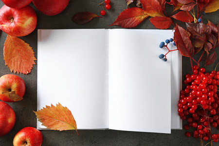 Beautiful autumn composition with opened book, closeup