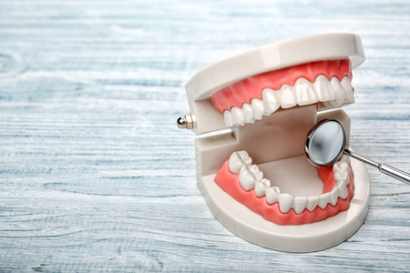 Dental jaw model and mirror on wooden background
