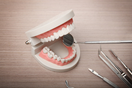 Dentist examining teeth model with tools on wooden background