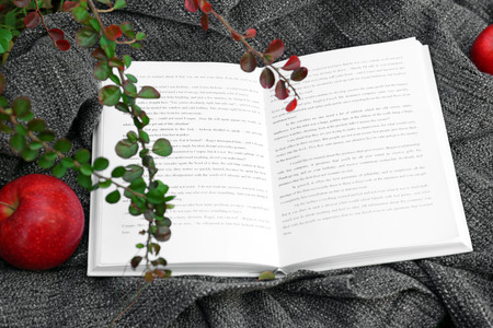 Autumn composition with book on gray plaid