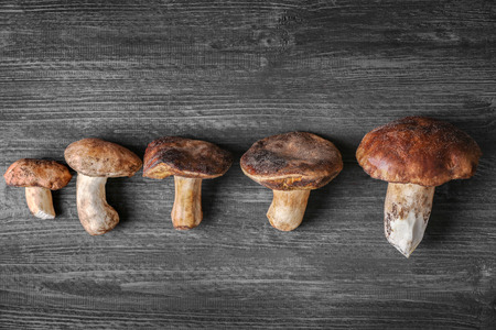 Fresh mushrooms on dark wooden backgroundの写真素材