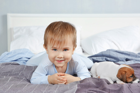 Cute little boy with funny puppy on bed at homeの写真素材