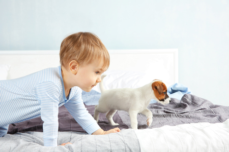 Cute little boy with funny puppy on bed at homeの写真素材