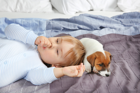 Cute little boy with funny puppy on bed at homeの写真素材