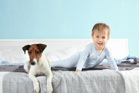 Cute little boy with funny dog on bed at homeの写真素材