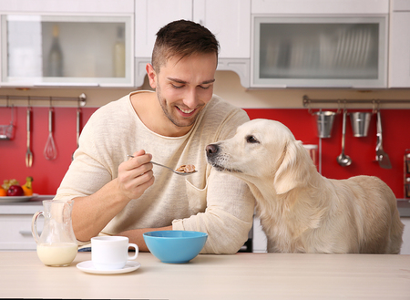 Man and  dog enjoying breakfast at the kitchenの写真素材
