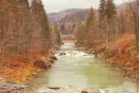 Mountain river flowing through autumn forest