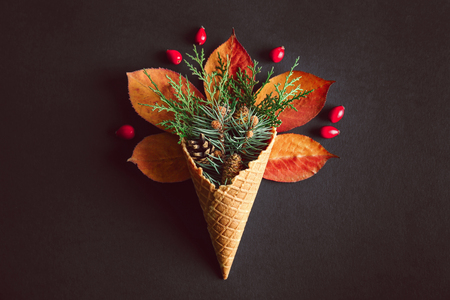 Waffle cone with composition of coniferous branches, leaves and strobiles on dark backgroundの写真素材