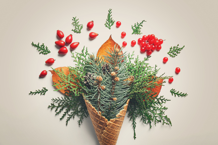 Waffle cone with composition of coniferous branches, berries and strobiles on white backgroundの写真素材