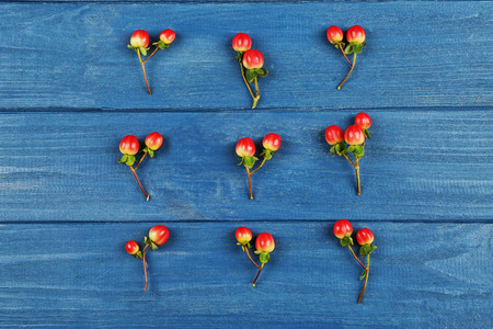 Beautiful hypericum on wooden backgroundの写真素材