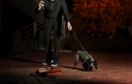 Dog looking for drugs at streetの写真素材