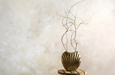 Decor in a vase on a color backgroundの写真素材