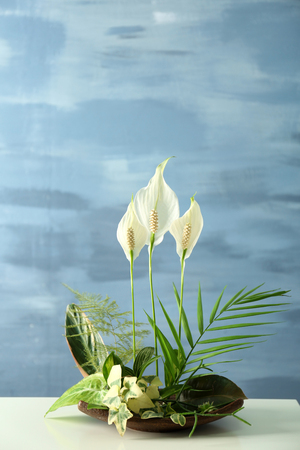 Flower arrangement on a color backgroundの写真素材