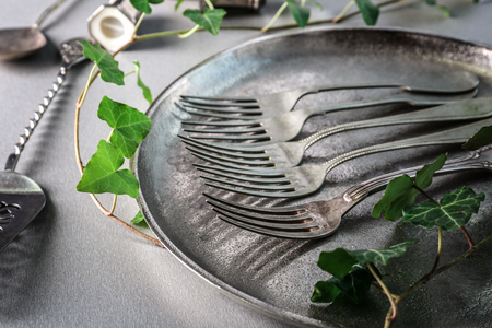 Cutlery set with plate and ivy, on gray backgroundの写真素材