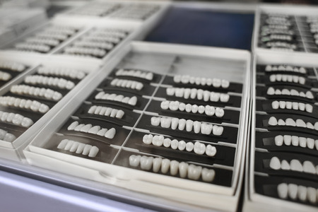 Set of artificial teeth on stand