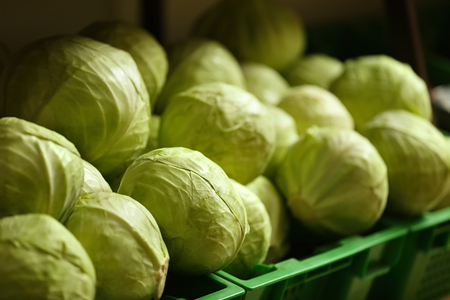 Baskets with cabbages in marketの写真素材