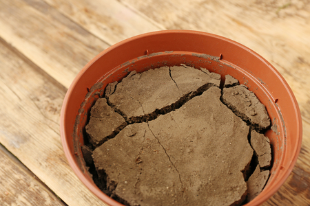 Water shortage concept. Pot with dry soil on wooden backgroundの写真素材