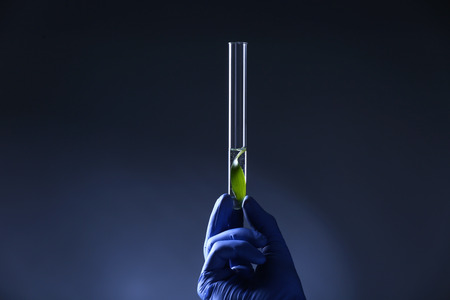 Hand in glove holding test tube with plant on dark background