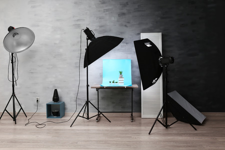 Interior of professional photo studio while shooting plantsの写真素材