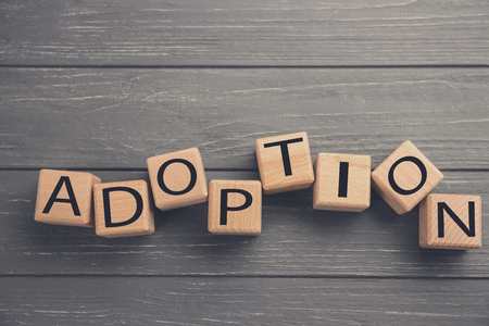 Cubes with word ADOPTION on color wooden background