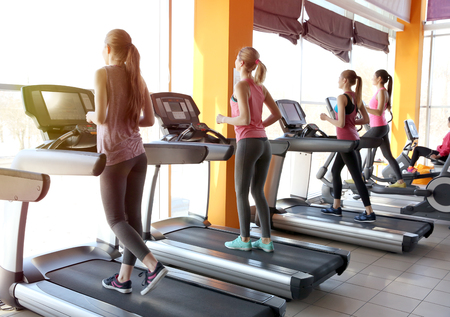 Young sporty women running on treadmills in gymの写真素材