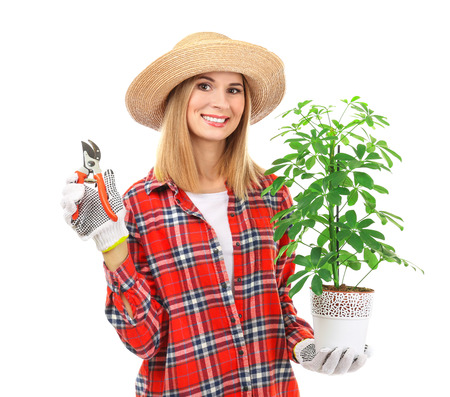 Female florist holding house plant and secateurs isolated on white backgroundの写真素材