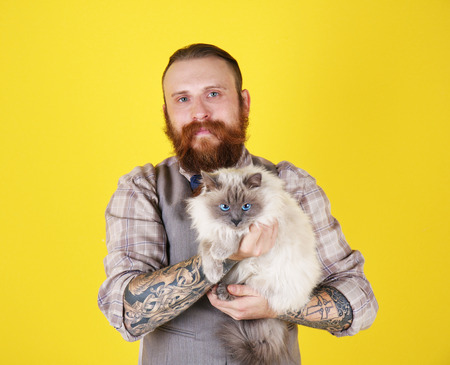 Young bearded man with fluffy cat on yellow backgroundの写真素材