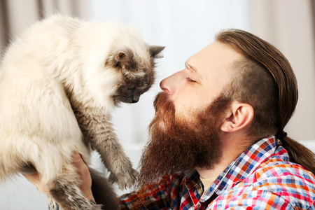 Young bearded man with fluffy cat at homeの写真素材