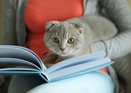 Young woman holding cat and reading book at homeの写真素材