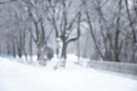 Blurred view of beautiful park on winter dayの写真素材