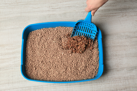 Female hand cleaning cat litter box on wooden backgroundの写真素材