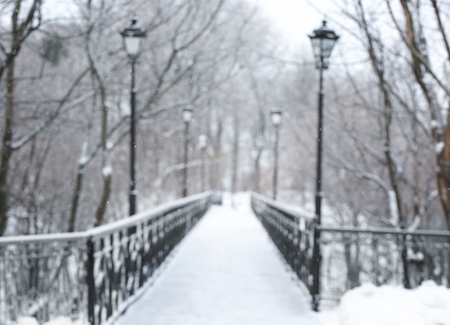 Beautiful bridge with street lights in winter park, blurred viewの写真素材