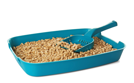 Plastic litter box with filler on white backgroundの写真素材