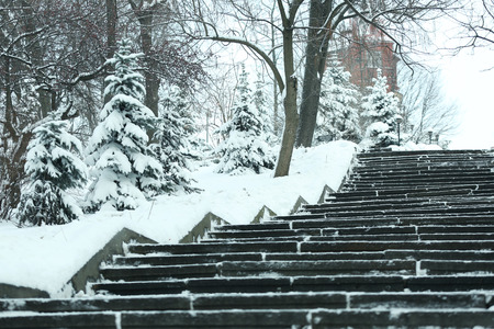 Beautiful winter landscape with stairs and snow covered fir treesの写真素材