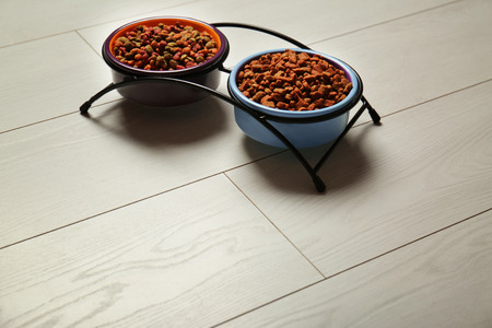 Cat food in bowls on wooden backgroundの写真素材