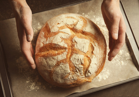 Male hands with freshly baked bread on tray, closeup