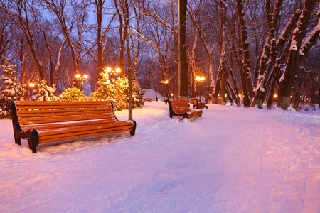 Beautiful winter landscape with snowy alley in eveningの写真素材