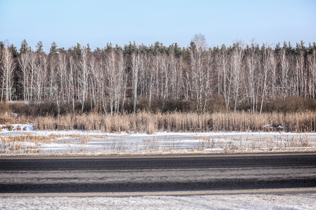 Highway through winter forestの写真素材