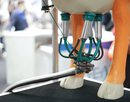 Cows milking machine on agricultural exhibitionの写真素材
