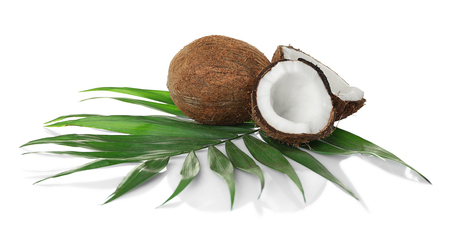Coconuts and palm leaf on white backgroundの写真素材