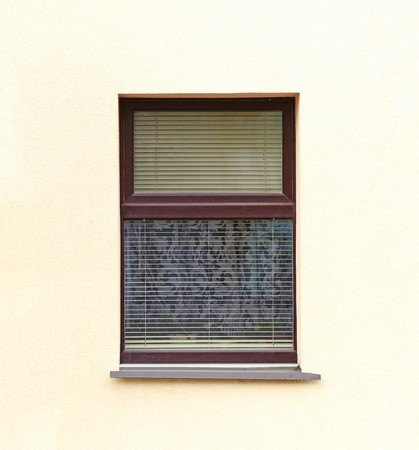 Plastic window with jalousie