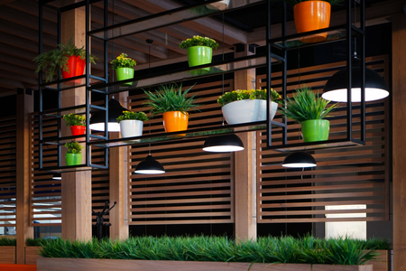 Green plants on stand in modern cafeの写真素材