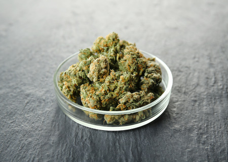 Heap of weed buds in Petri dish on grey backgroundの写真素材