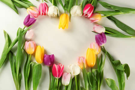 Frame made of beautiful tulips on white backgroundの写真素材