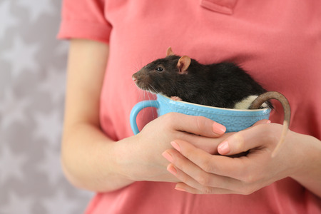Young woman holding cup with cute rat, closeupの写真素材