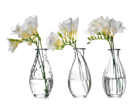 Glass vases with beautiful freesia on white backgroundの写真素材