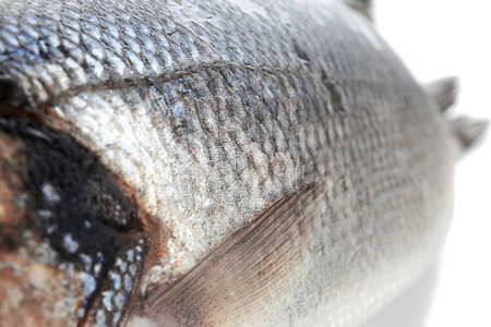 Fresh raw fish, closeupの写真素材