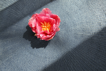 Beautiful bud of pink tulip on wicker matの写真素材
