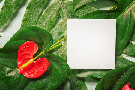 Sheet of paper with place for text and green tropical plants on backgroundの写真素材